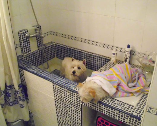 Rehabitgrup. Cocinas y baños